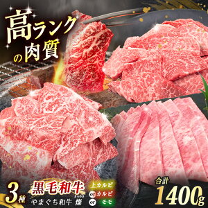 yӂ邳Ɣ[Łz ʌIIׂ ɏ㋍ ܂a W ( ߂ ) Jr 400g / Jr 500g /  500g b R  Is  uh јa Jr Jr    