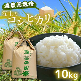 【ふるさと納税】令和7年産 新米 深土の特別米コシヒカリ 10kg ( 5kg × 2袋 )｜令和7年産 有機肥料 減農薬 米 コシヒカリ 精米 山口 美祢 秋吉台 10kg