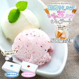 【ふるさと納税】【数量限定】ジェラート 500ml×2種 食べ比べ 朝搾りミルク TAROいちごミルク【大容量 アイス 業務用 セット 合計 1リットル スイーツ 人気 デザート 冷凍 氷菓子 家族 ファミリーサイズ 苺】 | 菓子 おかし 食品 人気 おすすめ 送料無料