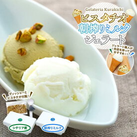 【ふるさと納税】【数量限定】ジェラート 500ml×2種 食べ比べ シチリア産 ピスタチオ 朝搾りミルク【大容量 アイス 業務用 セット 合計 1リットル スイーツ 人気 デザート 冷凍 氷菓子 家族 ファミリーサイズ】 | 菓子 おかし 食品 人気 おすすめ 送料無料