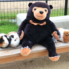 【ふるさと納税】周南のほほんマレーグマ | 楽天ふるさと 納税 山口県 周南市 山口 周南 支援 支援品 返礼品 返礼 お礼の品 雑貨 ぬいぐるみ かわいい クマ マレーグマ おもちゃ オモチャ 玩具 女の子 男の子 子供 子ども こども 幼児 室内 遊び 動物 キッズ 子供玩具