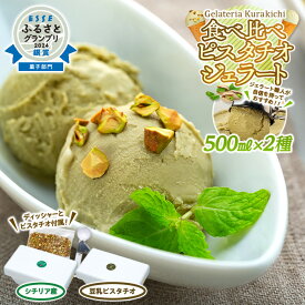 【ふるさと納税】【数量限定】ジェラート 500ml×2種 食べ比べ シチリア産 ピスタチオ 豆乳ピスタチオ【大容量 アイス 業務用 セット スイーツ 人気 デザート 冷凍 氷菓子 合計 1リットル 家族 ファミリーサイズ イタリア】 | 菓子 おかし 食品 おすすめ 送料無料