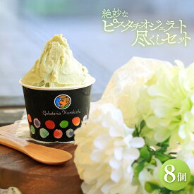 【ふるさと納税】絶妙なピスタチオジェラート尽くしセット（8個） | 山口県 山口 周南市 周南 楽天ふるさと 納税 支援品 返礼品 グルメ アイス ジェラート スイーツ ピスタチオ お取り寄せスイーツ スィーツ スウィーツ ミルク 洋菓子 お菓子 おかし 牧場 牛乳