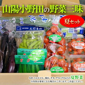 【ふるさと納税】【配送エリア：山口県・福岡県限定】山陽小野田の野菜三昧（夏セット）