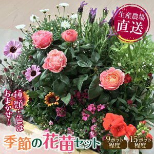 yӂ邳Ɣ[ŁzY_꒼IG߂̉ԕcZbg ԕc c Zbg 񂹐A Ԓd K[fjO ӂ邳Ɣ[ 1~ F6L-415var