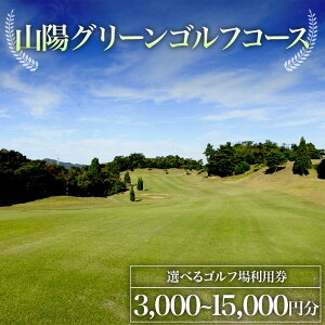 yӂ邳Ɣ[ŁzsIׂtRzO[StR[X Stꗘp 3,000~ or 9,000~ or 15,000~ St St p `Pbg Stv[ RzO[StR[X F6L-
