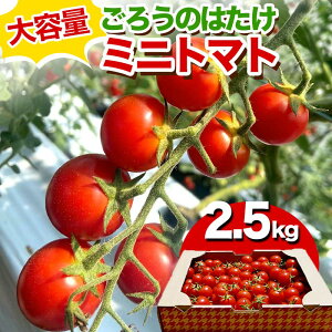 yӂ邳Ɣ[Łze 낤̂͂ ~jg}g 2.5kg x Z g}g T_ Rzc F6L-645