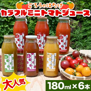 yӂ邳Ɣ[ŁzlC 낤̂͂ Jt~jg}gW[X 180ml×6{ g}g Jtg}g ~jg}g W[X  n O  Mtg 蕨 F6L-648