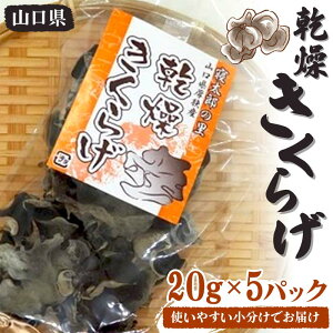 yӂ邳Ɣ[Łz炰 20g×5pbN 100g  g₷ 炰    ۑH J[  n O Hi R Rzc F6L-650