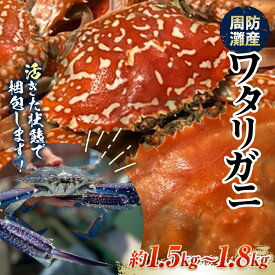 【ふるさと納税】【期間・数量限定】《時間指定不可》 活きたまま発送！周防灘産ワタリガニ（大） 約1.5kg～1.8kg F6L-1458