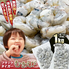 【ふるさと納税】冷凍庫に常備！ 無添加 えび 1kg 背ワタなし 500g 小分け バラ凍結 ブラックタイガー むきえび 選べる回数 定期便 エビ 海老 むき身 海鮮 魚介類 保水剤不使用 下処理済み F6L-1124var