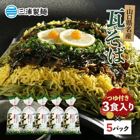 【ふるさと納税】瓦そば3食入り5パックセット 蕎麦 そば 瓦そば つゆ セット 抹茶 蒸し麺 麺 麺類 食品 F6L-1212