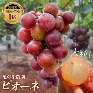 yӂ邳Ɣ[ŁzeʂIׂ y_Ew엿sgpzԂǂ 1[ 2[ 3[ 9 I Ⓚ t[c Ԃǂ  uhE sI[l L@ _ R Rzcs ӂ邳Ɣ[ F6L-92