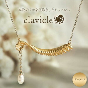 yӂ邳Ɣ[ŁzyS[h/Vo[z{̃^R^肵lbNX clavicle S[h gold Vo[ silver ANZT[ p[ t@bV F6L-1114var