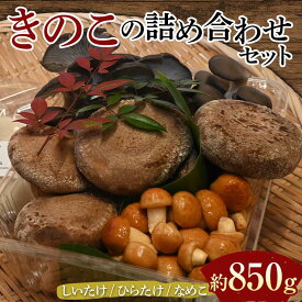 【ふるさと納税】きのこの詰め合わせセット（約850g） 農家直送 しいたけ ひらたけ なめこ ご当地 グルメ 食品 F6L-1138