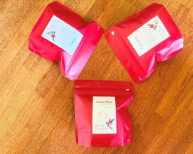 【ふるさと納税】【定期便】コーヒー豆100g×3種類セット×12ヶ月