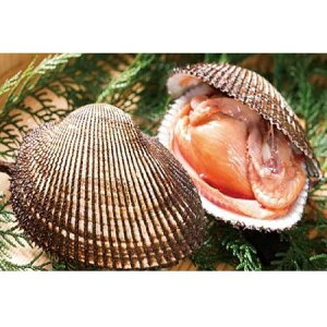 yӂ邳Ɣ[Łz~G聙h哇YVRIktԊL1kgystJnI2026N124ȍ~̂͂z