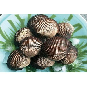 yӂ邳Ɣ[Łz~G聙h哇YVRIktԊL4kgystJnI2026N124ȍ~̂͂z