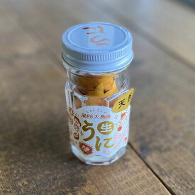 【ふるさと納税】【周防大島町産】赤ウニ