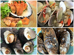 yӂ邳Ɣ[ŁzdeLÂԊLEqLEׂ҂񂳂EˊLh哇̓~̊L4lߍ킹IystJnI2026N27ȍ~̂͂z