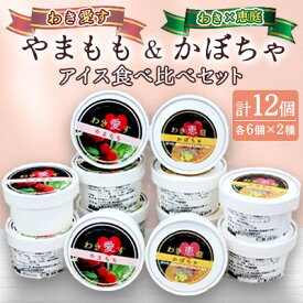 【ふるさと納税】「アイスクリーム」2種(やまもも6個、かぼちゃアイス6個)食べ比べセット【配送不可地域：離島】【1708840】