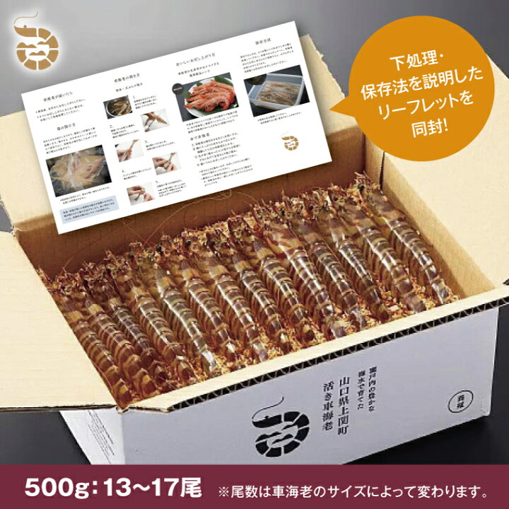 ふるさと納税 エビ 熱し 山口県 上関町 C-3 特大活き車えび500g 山口