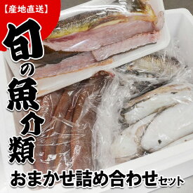 【ふるさと納税】『旬』の魚介類 おまかせ詰め合わせセット