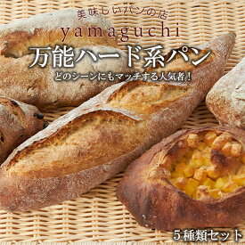 【ふるさと納税】万能ハード系パンセット（A-14）◇