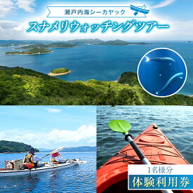 【ふるさと納税】瀬戸内海シーカヤック スナメリ ウォッチング ツアー 利用券 ( 1名様分 ) | 旅行券 体験 チケット 自然体験 シーカヤック マリンスポーツ アウトドア 家族旅行 国内旅行 山口県 平生町