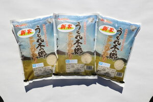 yӂ邳Ɣ[Łzߘa7NY  u ؂̋ v Ђ 2kg×3 y GR܂F zV RVqJ R