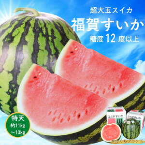 yӂ邳Ɣ[Łzys\z 11ʊl̎Mu vV 11kg`13kg 1@ʕށEXCJ@͂F2026N7{ȍ~\