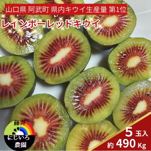 yӂ邳Ɣ[Łzys\z LEC t[c C{[bh 490g 󏭕i Ԃʓ̋ɊÃLEC t[c ʕ { s͂F2025N1020`2025N1220oׁt R 