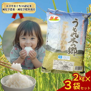 yӂ邳Ɣ[Łzߘa7NY  u ؂̋ v Ђ 2kg×3 y GR܂F zV RVqJ R