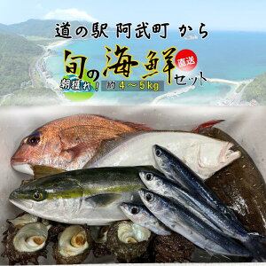 yӂ邳Ɣ[ŁzR  ̉w I I g N Zbg 4`5kg VN  { lꂽ   TUG CN