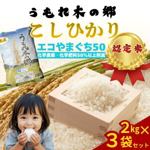 yӂ邳Ɣ[Łzߘa7NY  u ؂̋ v Ђ 2kg×3 y GR܂F zV RVqJ R