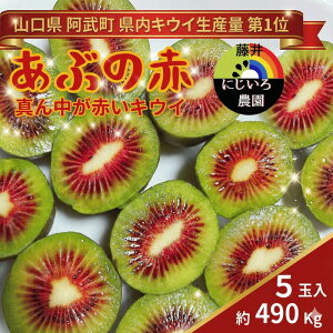 yӂ邳Ɣ[ŁzԂ̐ ^񒆂ԂLEC 490g 󏭕i Ԃʓ̋ɊÃLEC t[c ʕ { s͂F2025N1020`2025N1220oׁt R Y fU[g