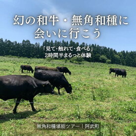 【ふるさと納税】幻の和牛、無角和種に会いにいこう!！「見て・触れて・食べる」を2時間半でまるっと体験！【無角和種堪能ツアー】※体験チケット2名様分