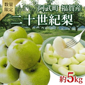 【ふるさと納税】【先行予約】梨 福賀の二十世紀梨 約5kg 12～18玉 山口県阿武町産 高糖度 シャキシャキ食感 数量限定 【2027年8月下旬～9月中旬頃発送】