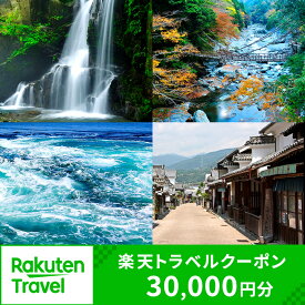 【ふるさと納税】 徳島県の対象施設で使える楽天トラベルクーポン 30,000円分 徳島県 徳島 すだち 大野 海苔 のり お土産 米 徳島ラーメン ラーメン 道の駅 観光 ホテル 美術館 名物 温泉 グルメ 徳島ヴォルティス フィッシュカツ 半田そうめん 阿波踊り お菓子 日本酒 藍染