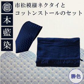 【ふるさと納税】 ネクタイ コットンストール セット 勝色 藍染 ネクタイ ビジネス コットン スーツ プレゼント おしゃれ 社会人 結婚式 贈答 プレゼント 父の日 本藍染 市松模様 徳島