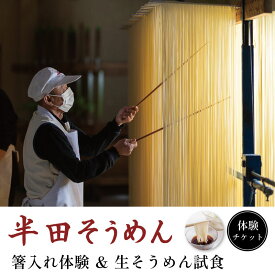 【ふるさと納税】 半田そうめん 工場見学 選べる 人数 2名様 から 《 食べ比べ お土産 つき！ 》 チケット そうめん 箸入れ体験 生そうめん 試食 素麺 麺 家族 ファミリー 親子 旅行 観光 体験 徳島 つるぎ町