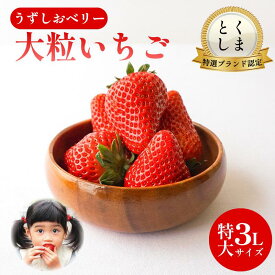 【ふるさと納税】 いちご 苺 30粒 3L サイズ 2026年1月から4月末まで発送 うずしおベリー 果物 フルーツ デザート 旬 新鮮 季節 冬 人気 ケーキ おすすめ ギフト プレゼント 贈答 贈り物 家庭用 先行予約 送料無料 徳島