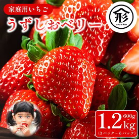 【ふるさと納税】 いちご 苺 3パックから6パック 600gから1.2kg 1月から4月末まで発送 うずしおベリー 果物 フルーツ デザート 旬 新鮮 季節 冬 人気 ケーキ おすすめ ギフト プレゼント 贈答 家庭用 先行予約 送料無料 徳島