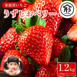 yӂ邳Ɣ[Łz   3pbN6pbN 600g`1.2kg 1`4܂Ŕ x[ ʕ t[c fU[g { VN G ~ lC P[L  Mtg v[g  ƒp 