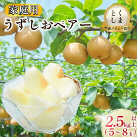 【ふるさと納税】 梨 なし ご家庭用 2.5kg以上 5〜8玉 2026年 8月順次発送 うずしおペアー 果物 フルーツ デザート 旬 新鮮 季節 秋 人気 おすすめ ギフト プレゼント 贈答 贈り物 家庭用 期間限定 送料無料 鳴門 徳島