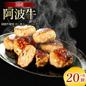 【ふるさと納税】 阿波牛 入り ハンバーグ 6個 10個 20個 1個 150g 冷凍 牛肉 合い挽き 国産 ハンバーグ ギフト 阿波牛ハンバーグ 牛肉 和牛 黒毛和牛 贈答 ブランド 贈り物 大人気 ジューシー はんばーぐ 好評 徳島 阿南