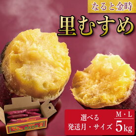 【ふるさと納税】 なると金時 里むすめ 5kg 選べる サイズ 発送月 《 徳島と言えば なると金時 ！》 さつまいも 鳴門金時 いも 芋 焼き芋 干し芋 芋棒 スイーツ 貯蔵庫 熟成 国産 ブランド お土産 徳島 鳴門