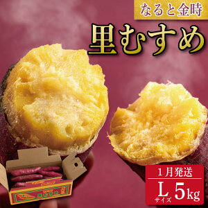 yӂ邳Ɣ[Łz ܂ 5kg 111 MTCY LTCY   ȂƋ ނ  _ [P[L XC[g|eg  Ă t[c XC[c P[L  