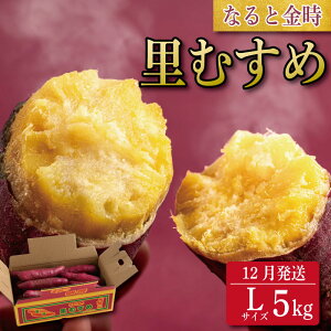 yӂ邳Ɣ[Łz ܂ 5kg 111 MTCY LTCY   ȂƋ ނ  _ [P[L XC[g|eg  Ă t[c XC[c P[L  