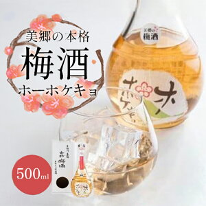 yӂ邳Ɣ[Łz ~ 500ml 1{ AR[ 12x {i~   ~    t[eB[  t[c ʕ  Mtg  N  R  ̖{i~uz[zPLv